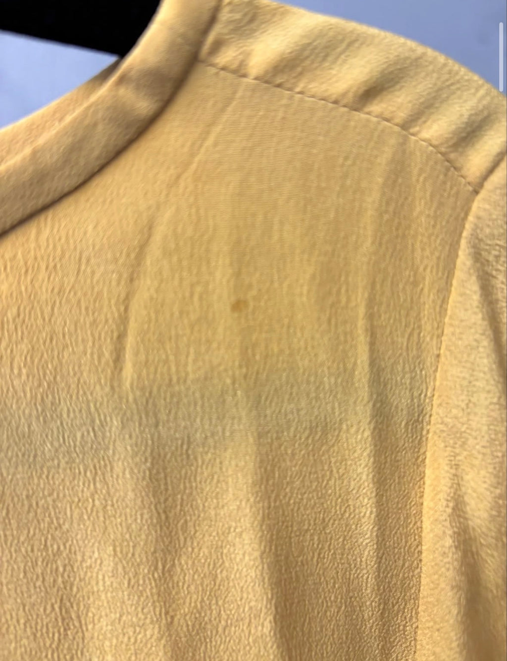 Everlane Mustard Silk Long Sleeve Blouse